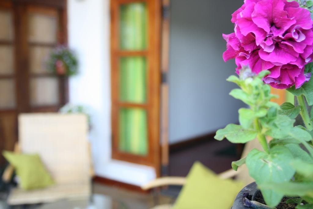 Moonlight Holiday Home Ella Ngoại thất bức ảnh